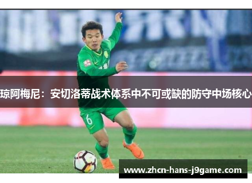 琼阿梅尼:安切洛蒂战术体系中不可或缺的防守中场核心 琼阿梅尼:安切洛蒂战术体系中不可或缺的防守中场核心